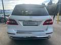 Mercedes-Benz ML 250 BlueTec 4Matic *AMG-Styling*Panorama*Comand*AHV* Weiß - thumbnail 5