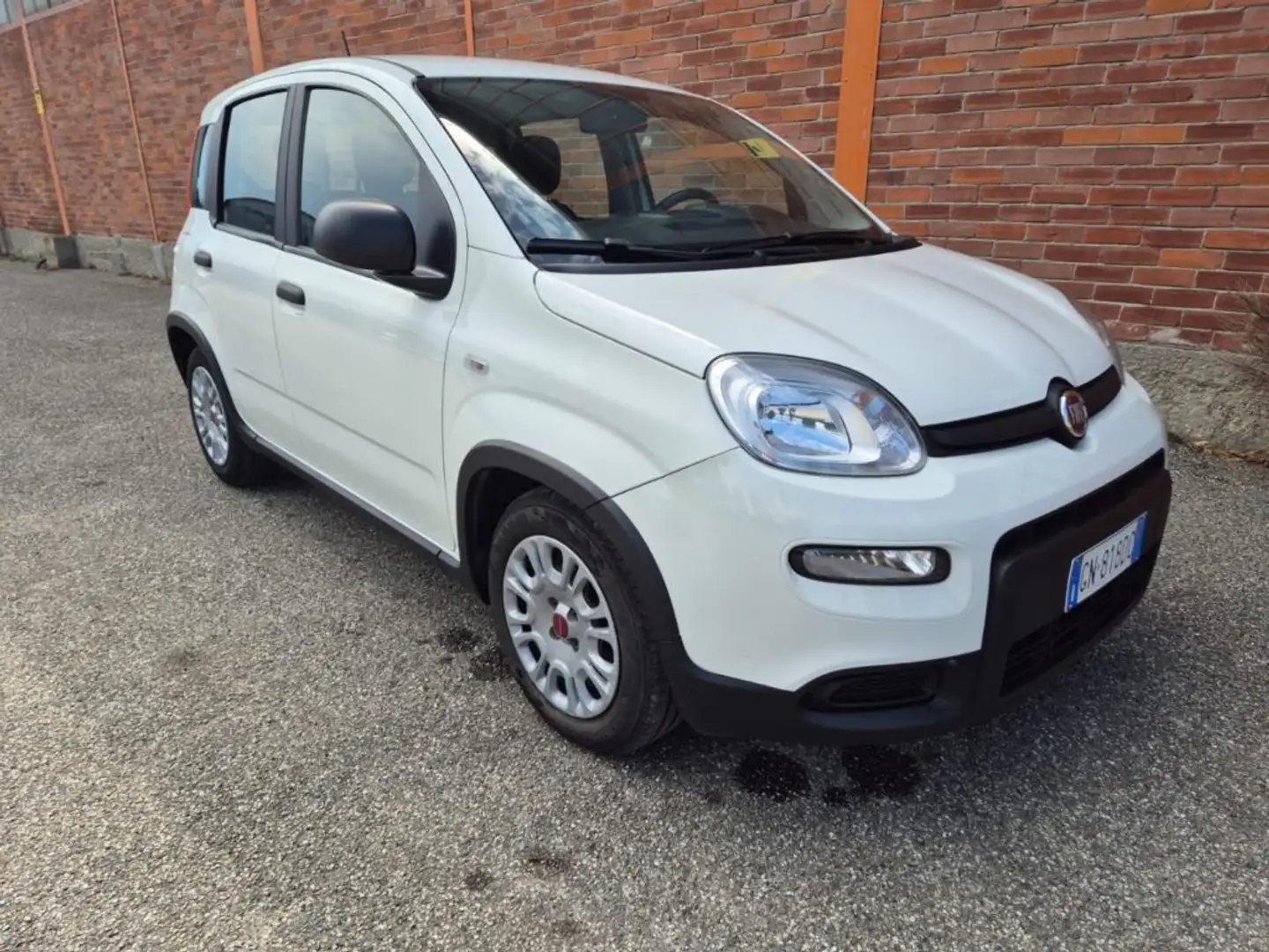 Fiat Panda 1.0 FireFly S&S Hybrid 5 posti Bianco - 1