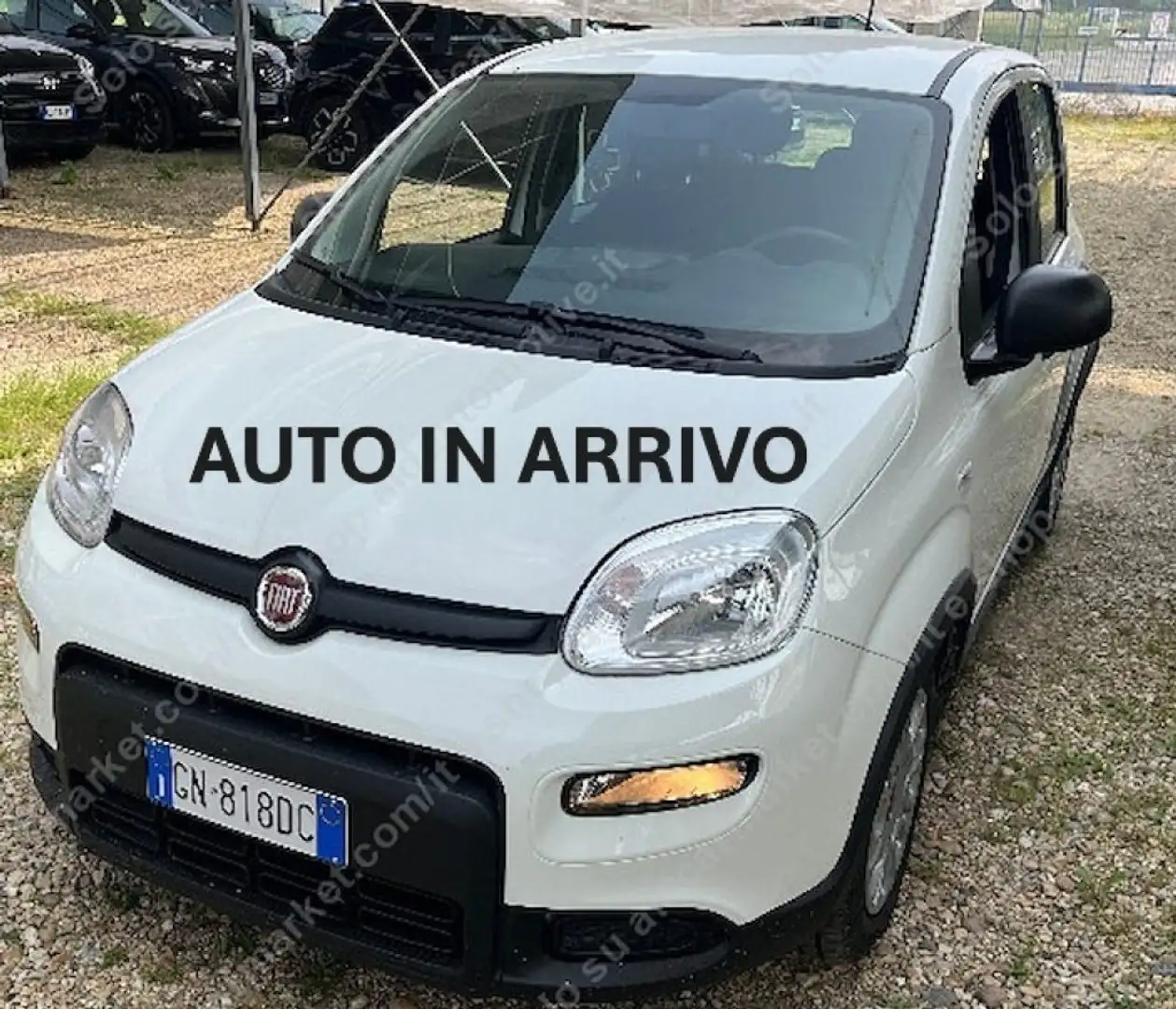 Fiat Panda 1.0 FireFly S&S Hybrid Bianco - 1