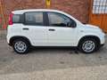 Fiat Panda 1.0 FireFly S&S Hybrid 5 posti Bianco - thumbnail 3