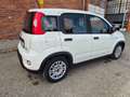 Fiat Panda 1.0 FireFly S&S Hybrid 5 posti Bianco - thumbnail 4