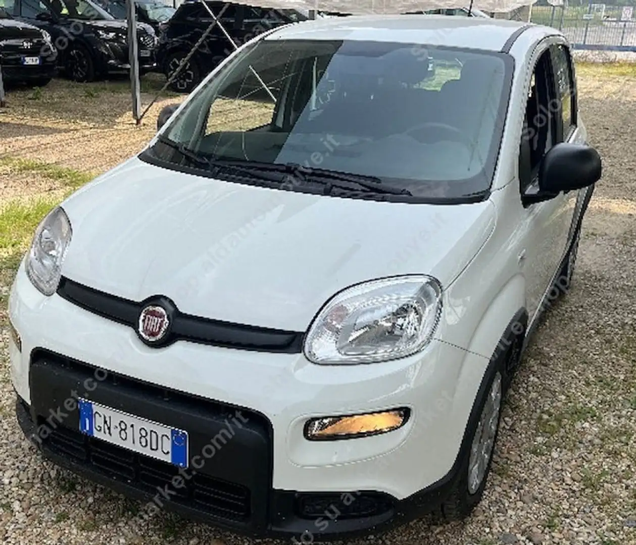 Fiat Panda 1.0 FireFly S&S Hybrid Bianco - 2