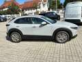 Mazda CX-30 e-Skyactive G140 Centre-Line Grau - thumbnail 3