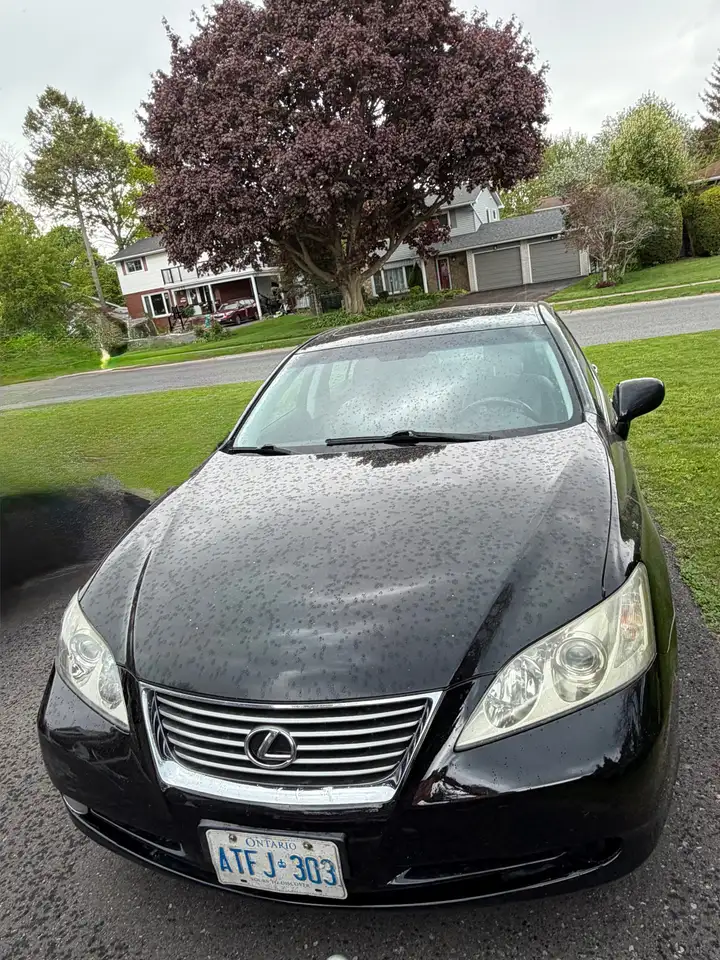 2009 Lexus ES