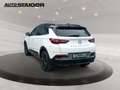Opel Grandland GS Line Navi, Leder, Kamera 360, PDC,.. Weiß - thumbnail 7