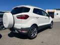 Ford EcoSport Titanium 1.5 4 Zyl Automatik Leder Weiß - thumbnail 3