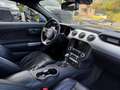 Ford Mustang GT I EU-Mod I Automatik I Grün - thumbnail 13