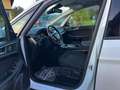 Ford Galaxy 2,0 EcoBlue SCR Business Aut. (Model 2019) Weiß - thumbnail 14