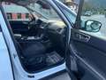 Ford Galaxy 2,0 EcoBlue SCR Business Aut. (Model 2019) Weiß - thumbnail 10