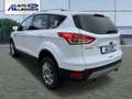 Ford Kuga Trend 1.6 EcoBoost SHZ Keyless Entry Keyless Notbr Blanco - thumbnail 8
