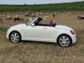 Daihatsu Copen Copen Rechtslenker Weiß - thumbnail 4