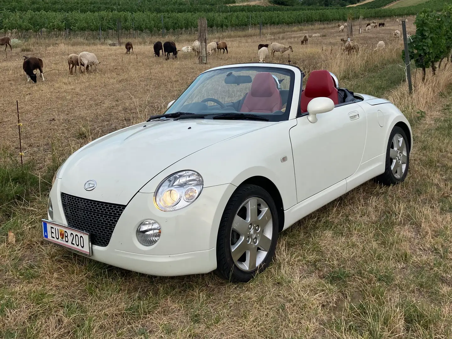 Daihatsu Copen Copen Rechtslenker Weiß - 1