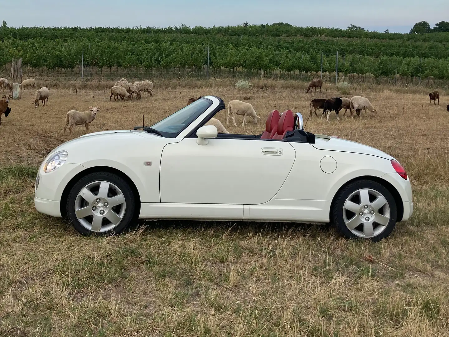 Daihatsu Copen Copen Rechtslenker Weiß - 2