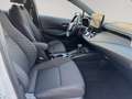 Toyota Corolla 2.0 l Hybrid TS.  Business Edition AUT Weiß - thumbnail 13