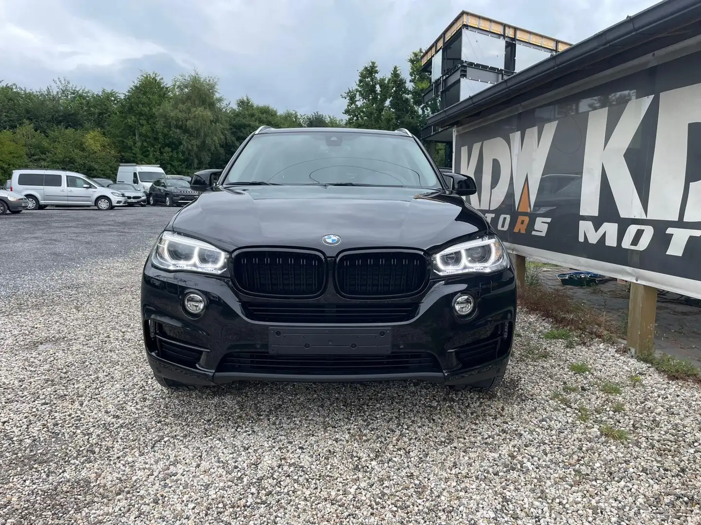 BMW X5 X5 sDrive25d crna - 2