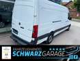 Mercedes-Benz Sprinter III KastenRWD*KAMERA*SHZ*BLUETOOTH*NR.2 Weiß - thumbnail 16