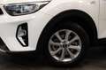 Kia Stonic 1.0 T-GDi MHEV DynamicLine| Navi| Camera| Apple Ca Weiß - thumbnail 2