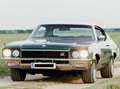 Buick Sonstige Skylark Grün - thumbnail 1