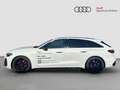 Audi A5 TDI quattro 150 kW S tronic Weiß - thumbnail 5