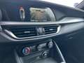 Alfa Romeo Stelvio Veloce 2.2 16V 210 AT8 Q4 Allrad Gris - thumbnail 14