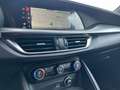 Alfa Romeo Stelvio Veloce 2.2 16V 210 AT8 Q4 Allrad Gris - thumbnail 15