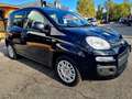 Fiat Panda 1.0 firefly hybrid 70*PACK CITY*STEREO*USB Nero - thumbnail 2