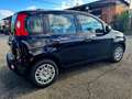 Fiat Panda 1.0 firefly hybrid 70*PACK CITY*STEREO*USB Nero - thumbnail 6