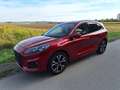 Ford Kuga Kuga 1,5 EcoBlue ST-Line Aut. ST-Line Rot - thumbnail 10