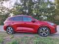 Ford Kuga Kuga 1,5 EcoBlue ST-Line Aut. ST-Line Rot - thumbnail 2