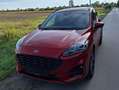 Ford Kuga Kuga 1,5 EcoBlue ST-Line Aut. ST-Line Rot - thumbnail 11