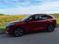 Ford Kuga Kuga 1,5 EcoBlue ST-Line Aut. ST-Line Rot - thumbnail 7