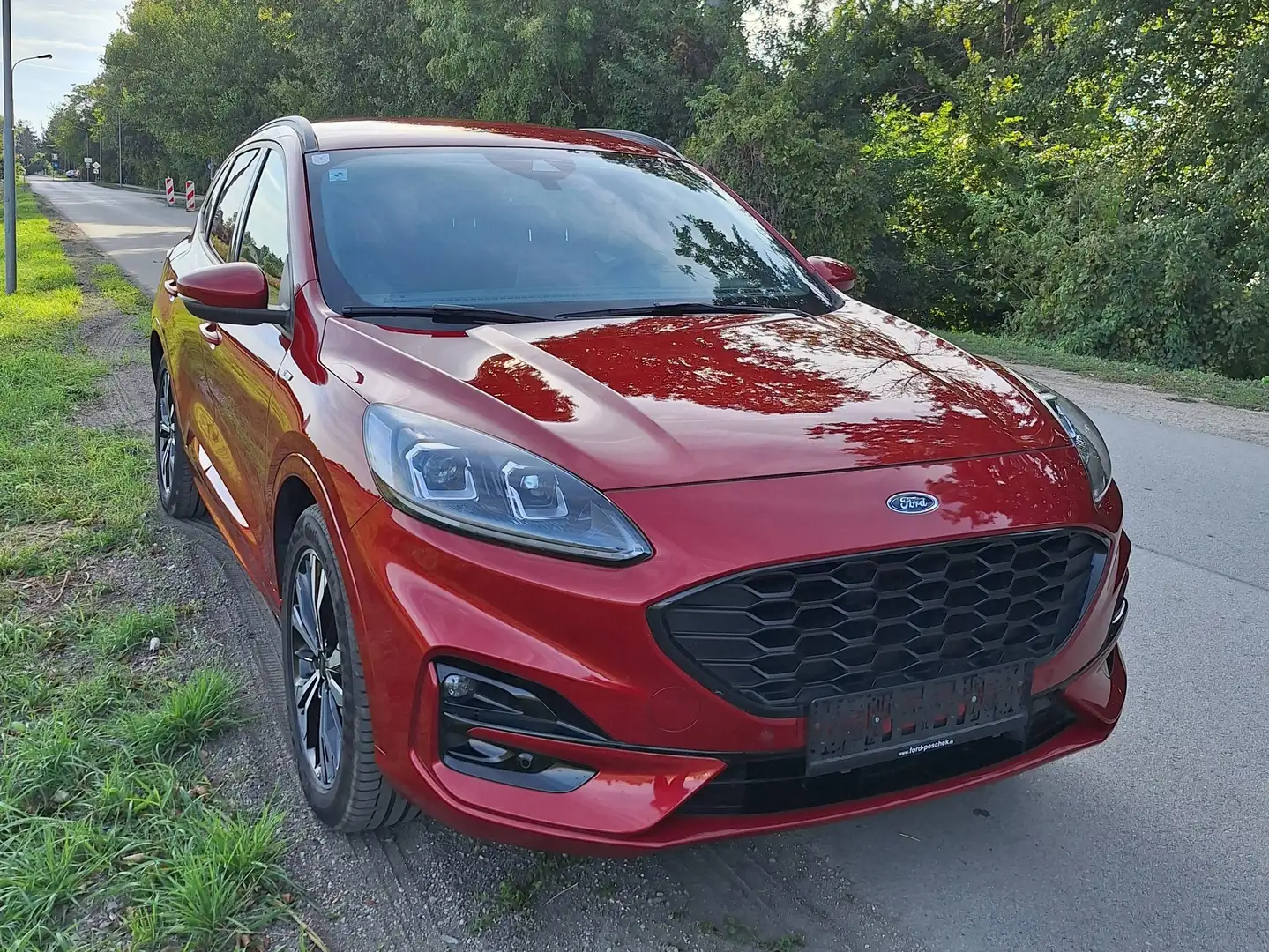 Ford Kuga Kuga 1,5 EcoBlue ST-Line Aut. ST-Line Rot - 1