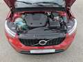 Volvo XC40 T5 RDesign Recharge 19" H&K LED LHZ RFK SHZ Rot - thumbnail 28