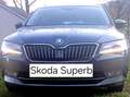 Skoda Superb Superb Kombi 2,0 TDI Ambition DSG Ambition Grau - thumbnail 14