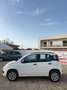 Fiat Panda Panda 0.9 TwinAir Turbo Natural Power Lounge Bianco - thumbnail 3