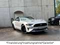 Ford Mustang 2.3 Cabrio*Facelift GT*Performance*SHZ* Argent - thumbnail 11