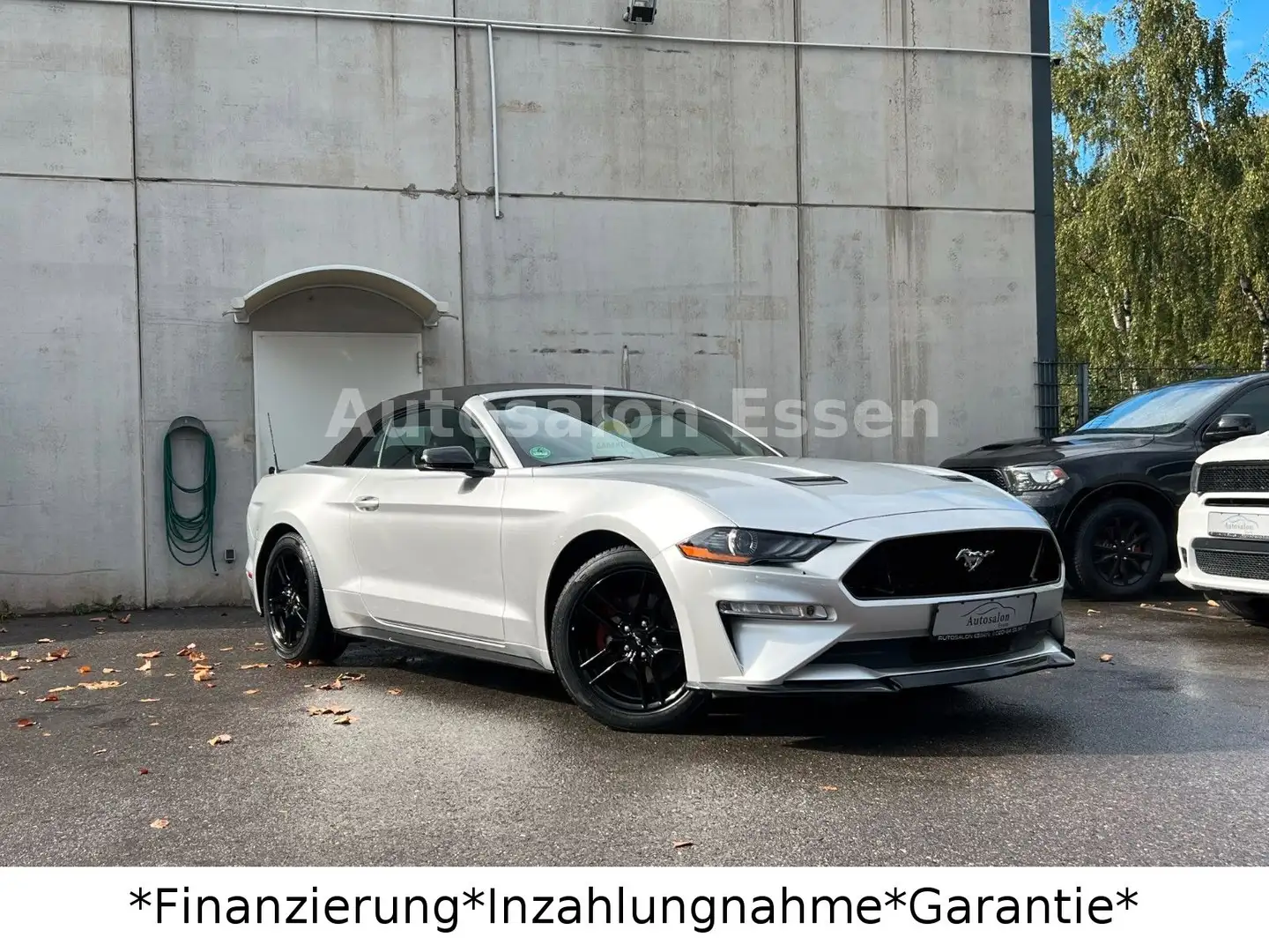 Ford Mustang 2.3 Cabrio*Facelift GT*Performance*SHZ* Argent - 2