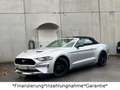 Ford Mustang 2.3 Cabrio*Facelift GT*Performance*SHZ* Argent - thumbnail 7