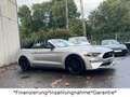 Ford Mustang 2.3 Cabrio*Facelift GT*Performance*SHZ* Argent - thumbnail 10