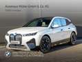 BMW iX xDrive40 Sportpaket GSD AHK ACC SoftClose H/K Lase Weiß - thumbnail 1