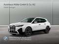 BMW iX xDrive40 2-Achs Luftfederung GSD ACC SoftClose H/K Weiß - thumbnail 1