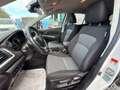 Suzuki S-Cross S-Cross 1.4 Hybrid Top Blanc - thumbnail 11
