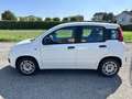 Fiat Panda 1.2 Easy 69cv Bianco - thumbnail 3