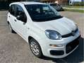 Fiat Panda 1.2 Easy 69cv Bianco - thumbnail 6