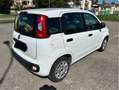 Fiat Panda 1.2 Easy 69cv Bianco - thumbnail 4