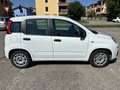 Fiat Panda 1.2 Easy 69cv Bianco - thumbnail 5