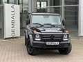 Mercedes-Benz G 350 D PROFESSIONAL, STANDHEIZUNG, AHK, BRD Schwarz - thumbnail 13