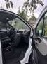 Renault Trafic Blanc - thumbnail 9