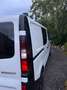Renault Trafic Blanc - thumbnail 6