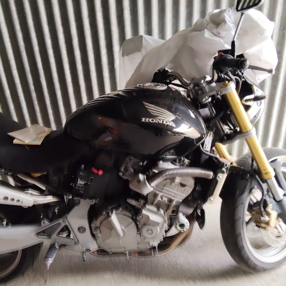 Honda Hornet